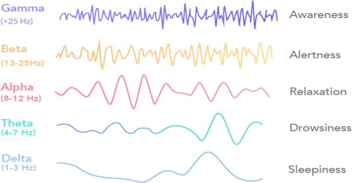 Frequenzbänder Neurofeedback München